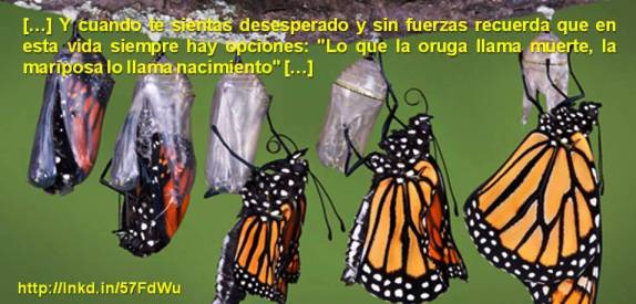 FERNANDO ANTONIO RUANO FAXAS. Y cuando te sientas desesperado y sin fuerzas recuerda que en esta vida siempre hay opciones. Lo que la oruga llama muerte, la mariposa lo llama nacimiento. Liderazgo, leadership, líder, leader