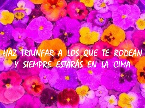 LIDERAZGO, LEADERSHIP, MANAGEMENT. HAZ TRIUNFAR A LOS QUE TE RODEAN Y SIEMPRE ESTARÁS EN LA CIMA
