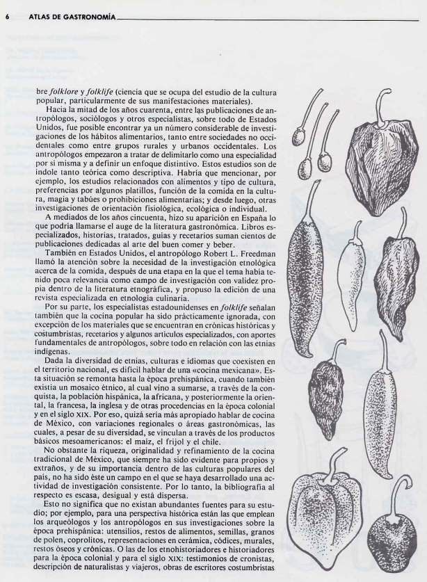 FERNANDO ANTONIO RUANO FAXAS. IMAGOLOGÍA. COCINA MEXICANA, PLATOS MEXICANOS, GASTRONOMÍA MEXICANA, MEXICAN GASTRONOMY, МЕКСИКАНСКАЯ КУЛИНАРИЯ, MEXIKANISCHE GASTRONOMIE, GASTRONOMIE MEXICAINE 14