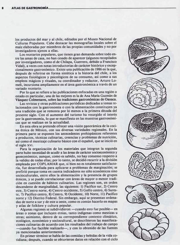 FERNANDO ANTONIO RUANO FAXAS. IMAGOLOGÍA. COCINA MEXICANA, PLATOS MEXICANOS, GASTRONOMÍA MEXICANA, MEXICAN GASTRONOMY, МЕКСИКАНСКАЯ КУЛИНАРИЯ, MEXIKANISCHE GASTRONOMIE, GASTRONOMIE MEXICAINE 16