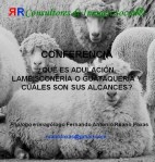 FERNANDO ANTONIO RUANO FAXAS. ADULACIÓN, ADULADORES, GUATAQUERÍA, GUATACAS, GATOS, LAMBISCONERÍA, PERROS, SIRVIENTES,&nbsp;CHACHAS