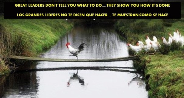 FERNANDO ANTONIO RUANO FAXAS. IMAGOLOGÍA. GREAT LEADERS DON'T TELL YOU WHAT TO DO..., THEY SHOW YOU HOW IT'S DONE. LOS GRANDES LÍDERES NO TE DICEN QUÉ HACER..., TE MUESTRAN CÓMO SE HACE