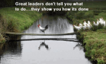 FERNANDO ANTONIO RUANO FAXAS. Los grandes líderes no te dicen qué hacer…, te muestran cómo se hace. Great leaders don’t tell you what to do…, they show you how it’s&nbsp;done