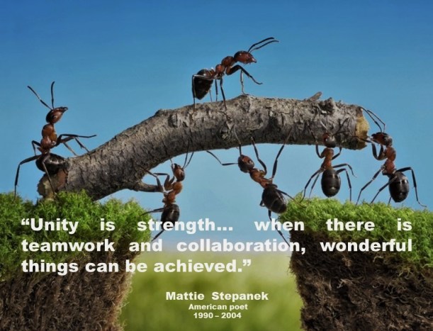 LEADERSHIP, MANAGEMENT. Matthew Joseph Thaddeus Stepanek. Unity is strength... when there is teamwork and collaboration, wonderful things can be achieved
