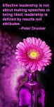 PAULINA RENDÓN AGUILAR. Liderazgo, líder, leader. Effective leadership is not about making speeches or being liked; leadership is defined by results not attributes. PETER&nbsp;DRUCKER