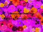 Paulina Rendon Aguilar. Leadership, Liderazgo, Management, Gerencia, Administración. TRABAJA DURO EN SILENCIO Y DEJA QUE TU ÉXITO HAGA TODO EL&nbsp;RUIDO