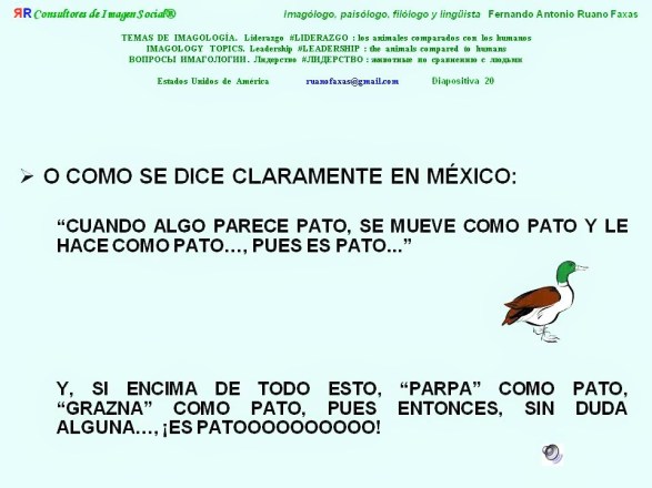 FERNANDO ANTONIO RUANO FAXAS. ELECCIONES. PATO. SI ALGUIEN PARECE PATO Y SE MUEVE COMO PATO, ACASO HAY QUE ESPERAR QUE GRAZNE O