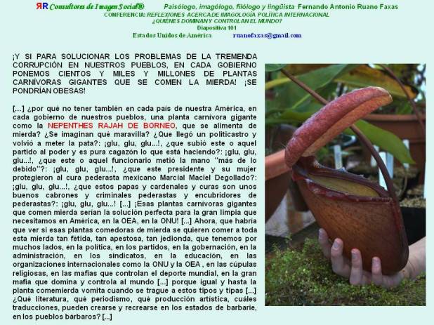FERNANDO ANTONIO RUANO FAXAS. NEPENTHES RAJAH DE BORNEO O PLANTA COMEMIERDA GIGANTE, MUY BUENA PARA ACABAR CON LOS POLÍTICOS DELINCUENTES Y CORRUPTOS. Y SI ESTA PLANTA SE LOS COME SEGURO SE MUERE, SE PUDRE