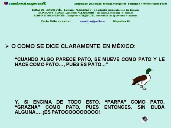 FERNANDO ANTONiO RUANO FAXAS. PATO. SI ALGUIEN PARECE PATO Y SE MUEVE COMO PATO, ACASO HAY QUE ESPERAR QUE GRAZNE O PARPE PARA SABER QUE ES PATO