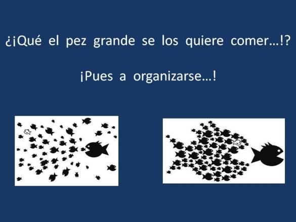FERNANDO ANTONIO RUANO FAXAS. SI LOS PECES PEQUEÑOS SE JUNTAN PUEDEN DARLE UN GRAN SUSTO AL PEZ GRANDE. LA UNIÓN HACE LA FUERZA