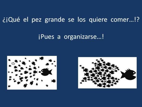 FERNANDO ANTONIO RUANO FAXAS. SI LOS PECES PEQUEÑOS SE JUNTAN PUEDEN DARLE UN GRAN SUSTO AL PEZ GRANDE. LA UNIÓN HACE LA FUERZA