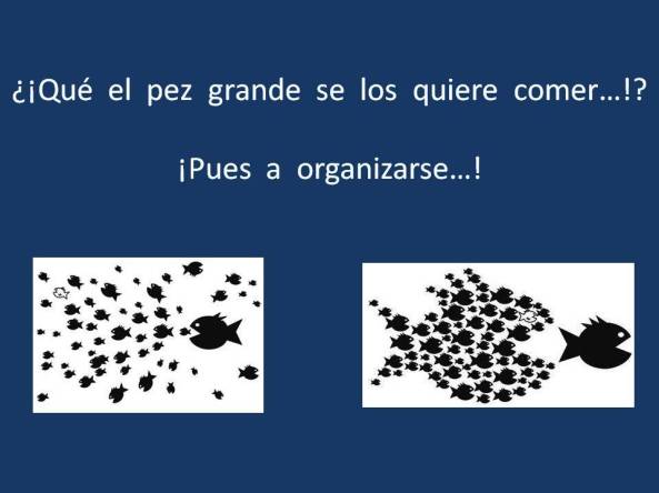 FERNANDO ANTONIO RUANO FAXAS. SI LOS PECES PEQUEÑOS SE JUNTAN PUEDEN DARLE UN GRAN SUSTO AL PEZ GRANDE. LA UNIÓN HACE LA FUERZA