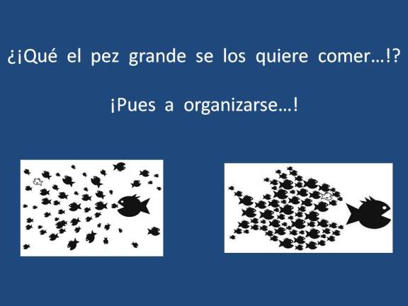 FERNANDO ANTONIO RUANO FAXAS. SI LOS PECES PEQUEÑOS SE JUNTAN PUEDEN DARLE UN GRAN SUSTO AL PEZ GRANDE. LA UNIÓN HACE LA FUERZA