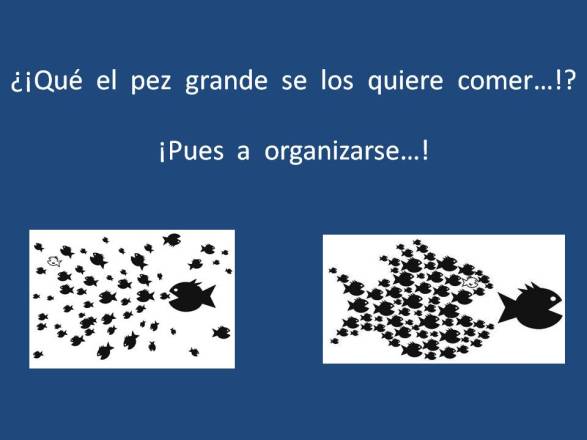FERNANDO ANTONIO RUANO FAXAS. SI LOS PECES PEQUEÑOS SE JUNTAN PUEDEN DARLE UN GRAN SUSTO AL PEZ GRANDE. LA UNIÓN HACE LA FUERZA
