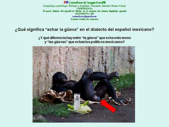 FERNANDO ANTONIO RUANO FAXAS. El idioma español de México. Y qué diferencia hay entre la güeva que echa este mono y las güevas que echan los políticos mexicanos