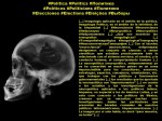 FERNANDO ANTONIO RUANO FAXAS. IMAGOLOGÍA, PAISOLOGÍA, POLÍTICA, POLÍTICOS, ELECCIONES. Neurociencia, Neuroscience, Нейронаука. Neuropolítica, Neuropolitics,&nbsp;Нейрополитика