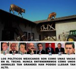 MEXICO, ELECCIONES. LOS POLÍTICOS MEXICANOS SON COMO UNAS VACAS EN EL TECHO. NUNCA ENTENDEREMOS CÓMO UNOS ANIMALES TAN GRANDES HAN PODIDO LLEGAR TAN&nbsp;ALTO.