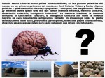 fernando-antonio-ruano-faxas-imagologia-politica-politicos-elecciones-memoria-historica-memoria-colectiva-consciencia-colectiva-inteligencia-colectiva-donald-trump-hillary-clinton-vladimir