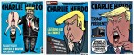France, Francia, Charlie Hebdo, Donald Trump