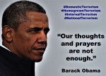 BARACK OBAMA.OUR THOUGHTS AND PRAYERS ARE NOT ENOUGH. DOMESTIC TERRORISM,HOMEGROWN TERRORISM,INTERNAL TERRORISM,NATIONAL TERRORISM
