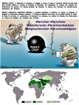 FERNANDO ANTONIO RUANO FAXAS.IMAGOLOGÍA,PAISOLOGÍA,MEDIO ORIENTE,ORIENTE MEDIO,MIDDLE EAST,IRAN,ARABIA SAUDITA,SAUDI ARABIA,TERRORISMO,TERRORISM,ISIS