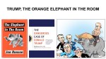 FERNANDO ANTONIO RUANO FAXAS. TRUMP, THE ORANGE ELEPHANT IN THE ROOM. MENTAL ILLNESS, MENTAL DISORDER, PSYCHIATRIC DISORDER, ELECTION, GOP, MAGA, RUSSIA, PUTIN, MUELLER, FBI, JOHN&nbsp;MCCAIN