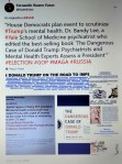 FERNANDO ANTONIO RUANO FAXAS. ELECTION, RUSSIA, MUELLER, PUTIN. Democrats, Trump’s mental health, Dr. Bandy Lee, book The Dangerous Case of Donald Trump. Psychiatrists and Mental Health Experts Assess a&nbsp;President