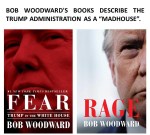 FERNANDO ANTONIO RUANO FAXAS. Bob Woodward’s books describe the Trump Administration as a madhouse. Rage. Fear, Trump in the White House. Election, Russia, Putin, Coronavirus, Covid-19, Corruption, White&nbsp;House