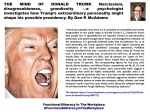 FERNANDO ANTONIO RUANO FAXAS.FUNCTIONAL ILLITERACY IN THE WORKPLACE. THE MIND OF DONALD TRUMP.NARCISSISM,DAN P.&nbsp;MCADAMS